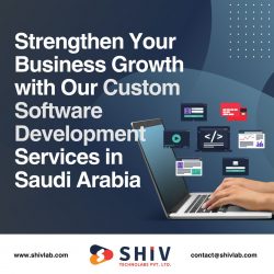 Affordable Custom Software Development Company in Saudi Arabia – Shiv Technolabs