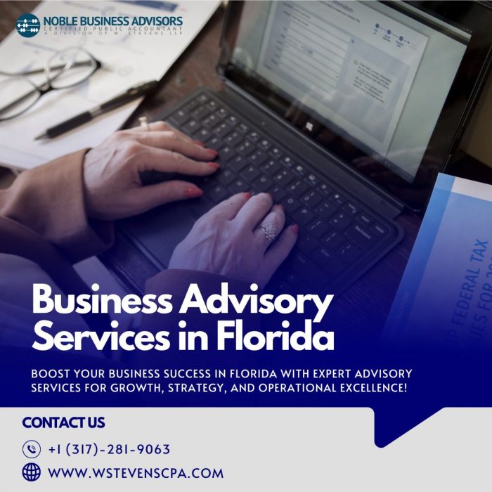 Business Advisory Services in Florida