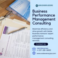 Business Performance Management Consulting