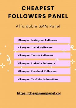 Cheapest Followers Panel