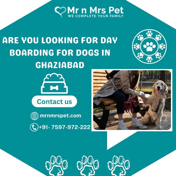 Best Day Boarding For Dogs in Ghaziabad