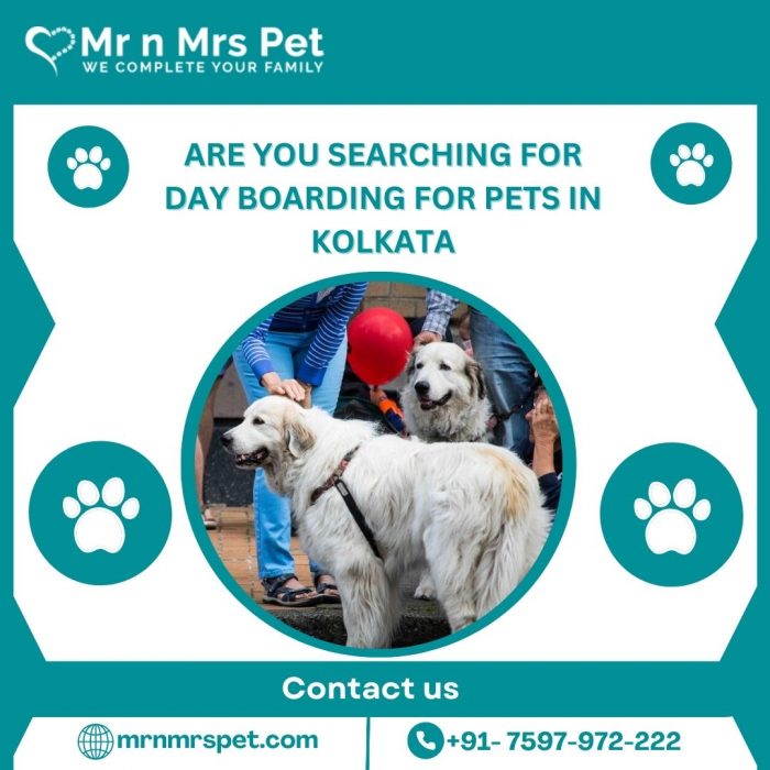 Professional Day Boarding For Pets in Kolkata