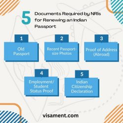 Essential Checklist for NRI Indian Passport Renewal: Visament