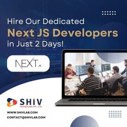 Hire Our Dedicated Next JS Developers in Just 2 Days from Shiv Technolabs