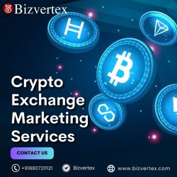 Supercharge Your Crypto Exchange Growth with BizVertez’s Expert Marketing Services