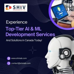 Top-Tier AI & ML Development Services in Canada