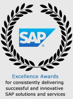 Trusted SAP Business One Partners in Dubai