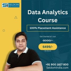 Data Analytics Course Near Me – Join Seldom India Jaipur