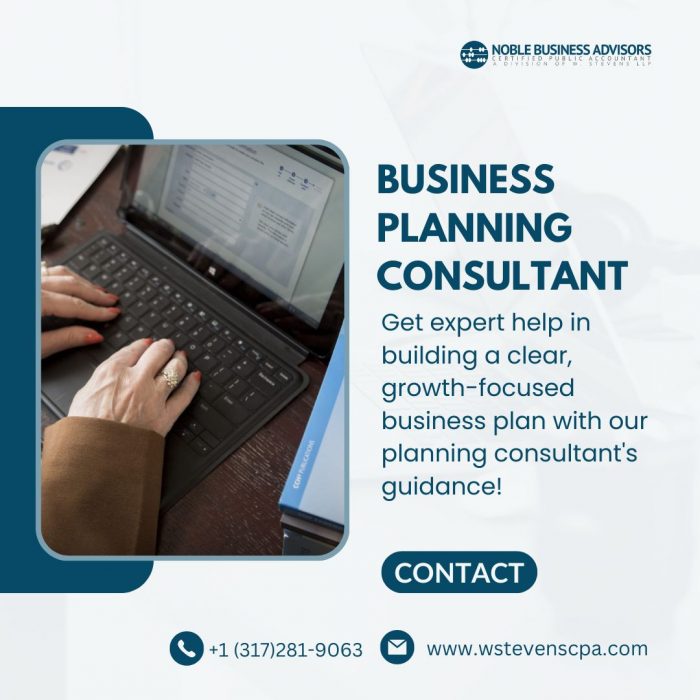 Business Planning Consultant