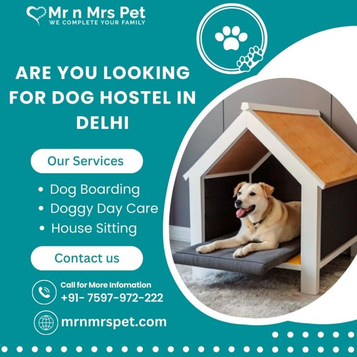 Dog Hostel in Delhi at Affordable Price