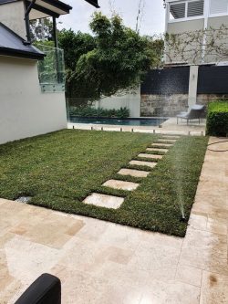 Landscaping Willoughby: Professional Garden Makeovers