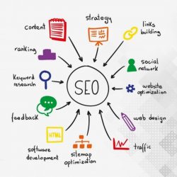 Boost Your Online Presence with Expert SEO Services