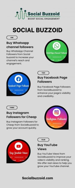 Buy Instagram Followers for Cheap – Socialbuzzoid