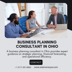 Business Planning Consultant in Ohio