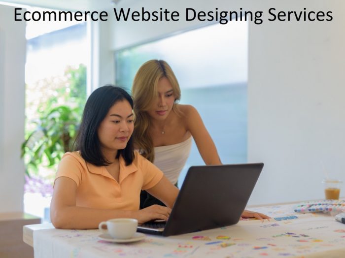 Ecommerce Website Designing Agency