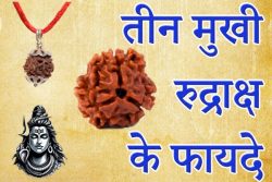 How 3 Mukhi Rudraksha Enhances Your Life: Benefits and Significance