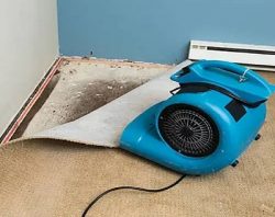 Understanding the Water Damage Restoration Process in Ottawa