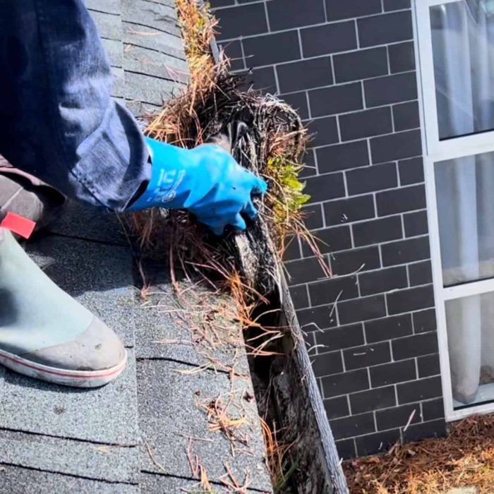 Gutter cleaning Auckland