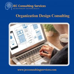 Organization Design Consulting