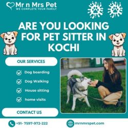 The Best Pet Sitter in Kochi