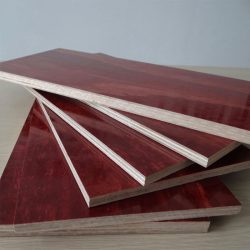 Shuttering Plywood In Uttar Pradesh