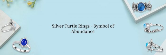 A Complete Guide to Silver Turtle Ring: A Delightful Token of Abundance!