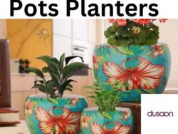 Shop Stylish Pots & Planters for Your Home Garden | Buy Online at Best Prices