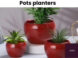 Buy Pots & Planters Online – Stylish Planters for Every Space