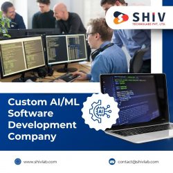 Expert AI & ML Development Services by Shiv Technolabs