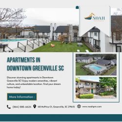 Discover the Cheap Apartments in Downtown Greenville SC