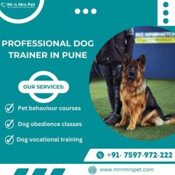 The Best Dog Trainer in Pune