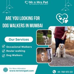 Best Dog Walkers in Mumbai