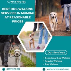 Best Dog Walking Services in Mumbai at Reasonable Prices