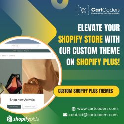 Elevate your Shopify store with our custom theme on Shopify Plus