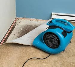 What Are the First Steps to Take After Water Damage?