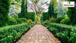 10 Garden Paving Ideas with Natural Stone for 2025