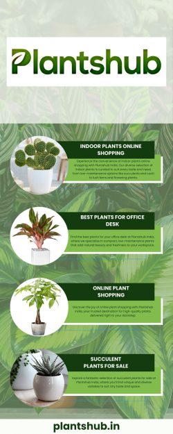 Fountain plants to enhance your water features