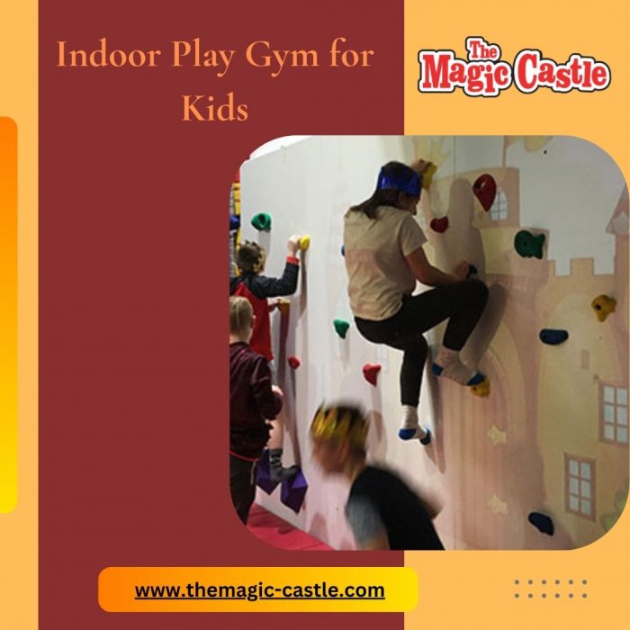 Indoor Play Gym for Kids