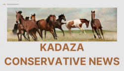 kadaza conservative news