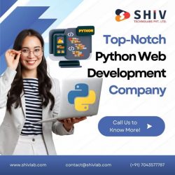 Custom Python Development Services by Shivlab Technolabs