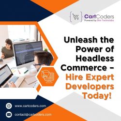 Unleash the Power of Headless Commerce – Hire Expert Developers Today!