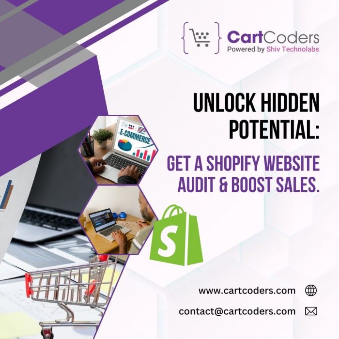 Unlock Hidden Potential: Get a Shopify Website Audit & Boost Sales.