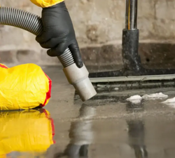 Key Steps to Follow After Experiencing Water Damage