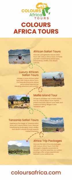 Plan Your Perfect Africa Safari Trip