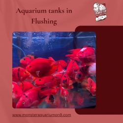 Aquarium tanks in Flushing