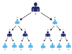 Why Cyrus Technoedge is Leading the Binary MLM Revolution in India