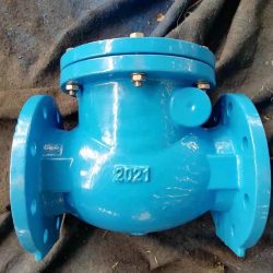 Check Valve Suppliers in UAE