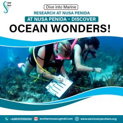 Dive into Marine Research at Nusa Penida – Discover Ocean Wonders!