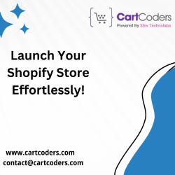 Launch Your Shopify Store Effortlessly!