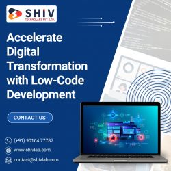 Low-Code Development Services for Business Growth